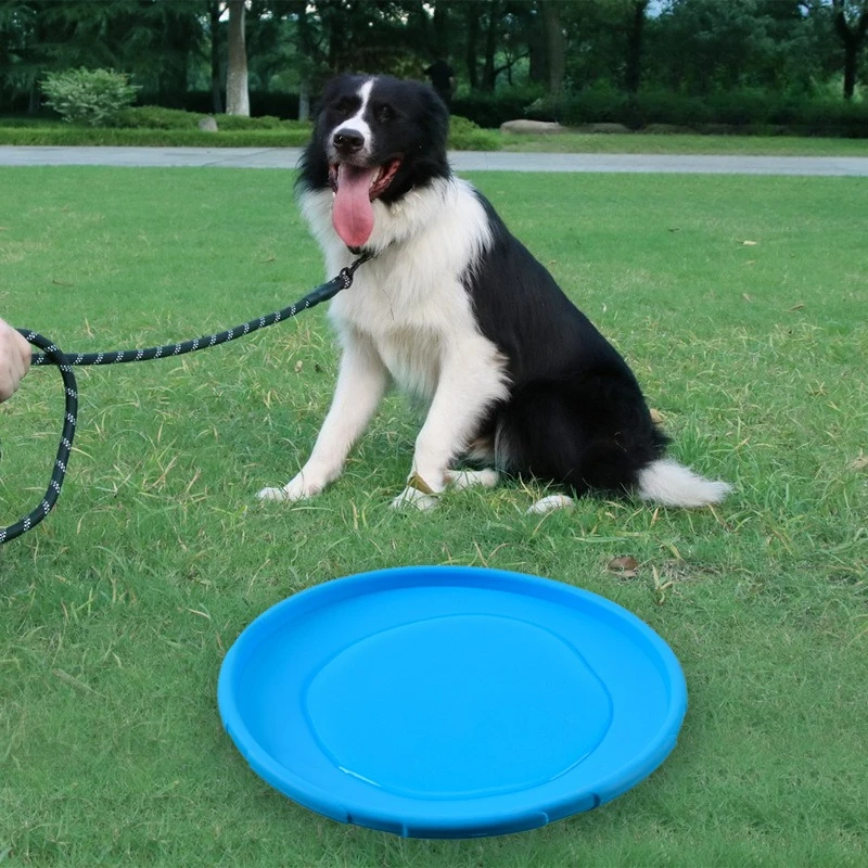 Pet Frisbee Dog Toy Bite resistant Frisbee Floatable Training Throwing Frisbee Safe Bite resistant Anti slip Design Pet Supplies - Image 4