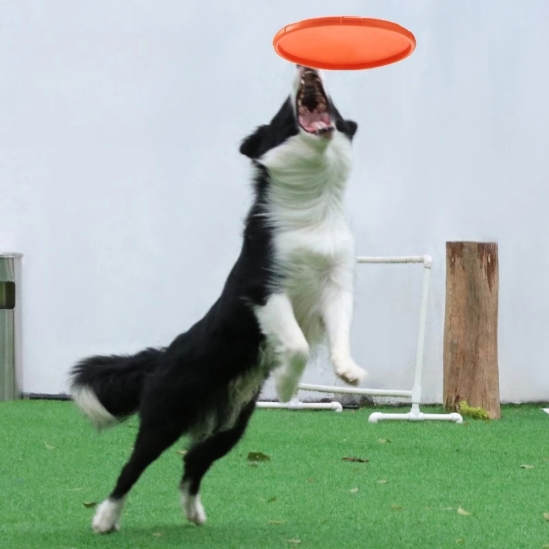 Pet Frisbee Dog Toy Bite resistant Frisbee Floatable Training Throwing Frisbee Safe Bite resistant Anti slip Design Pet Supplies - Image 3