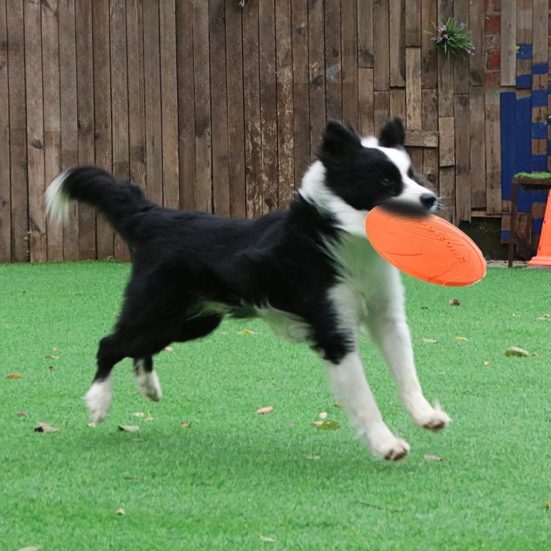Pet Frisbee Dog Toy Bite resistant Frisbee Floatable Training Throwing Frisbee Safe Bite resistant Anti slip Design Pet Supplies - Image 2